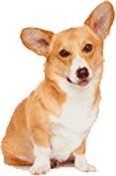 自动化测试的ip攻击器网页版ddos