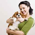 隐私严格保护的网站攻击源码